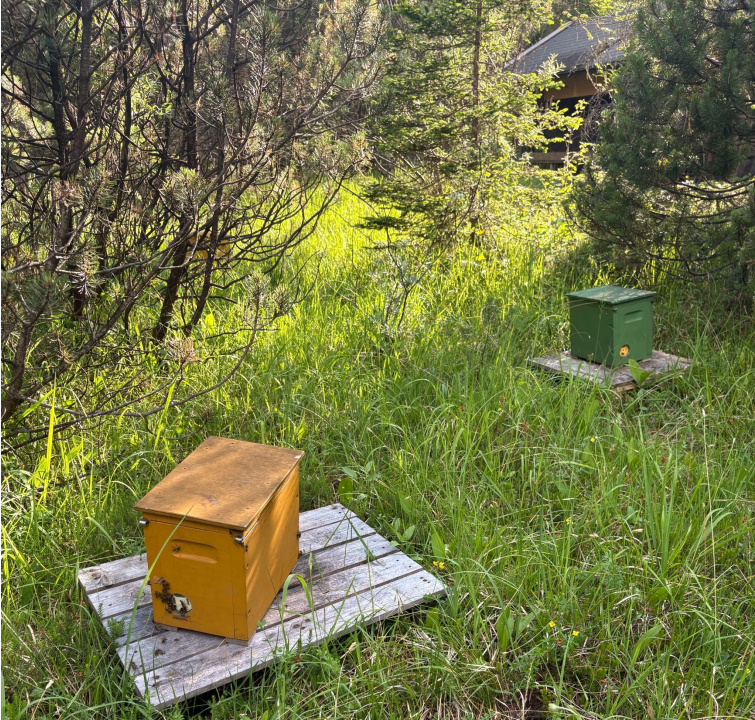 Belegstelle An den 3 Wassern