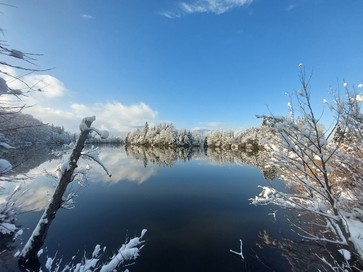 Moosbergsee im Winter